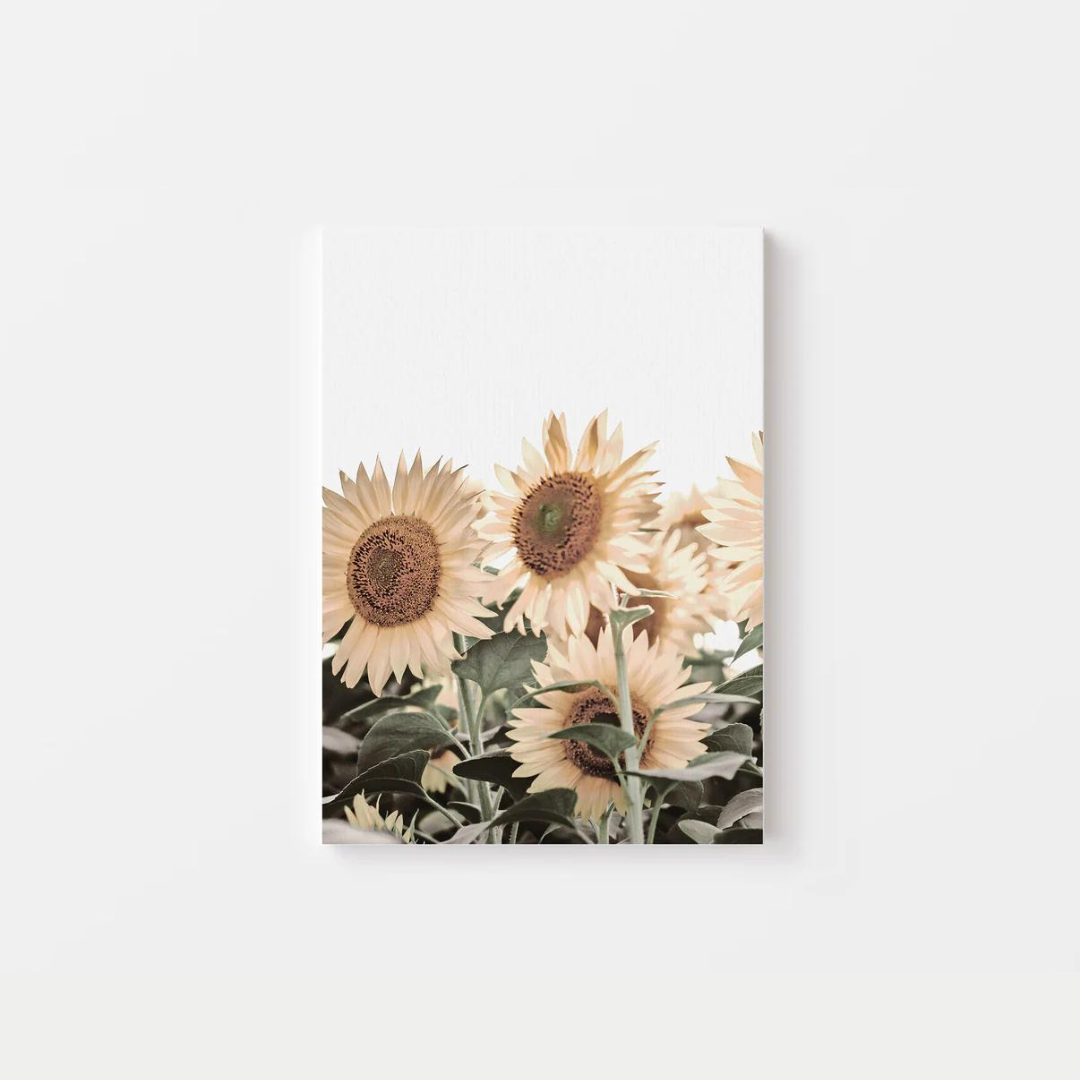 Sun Shine Sunflower Canvas