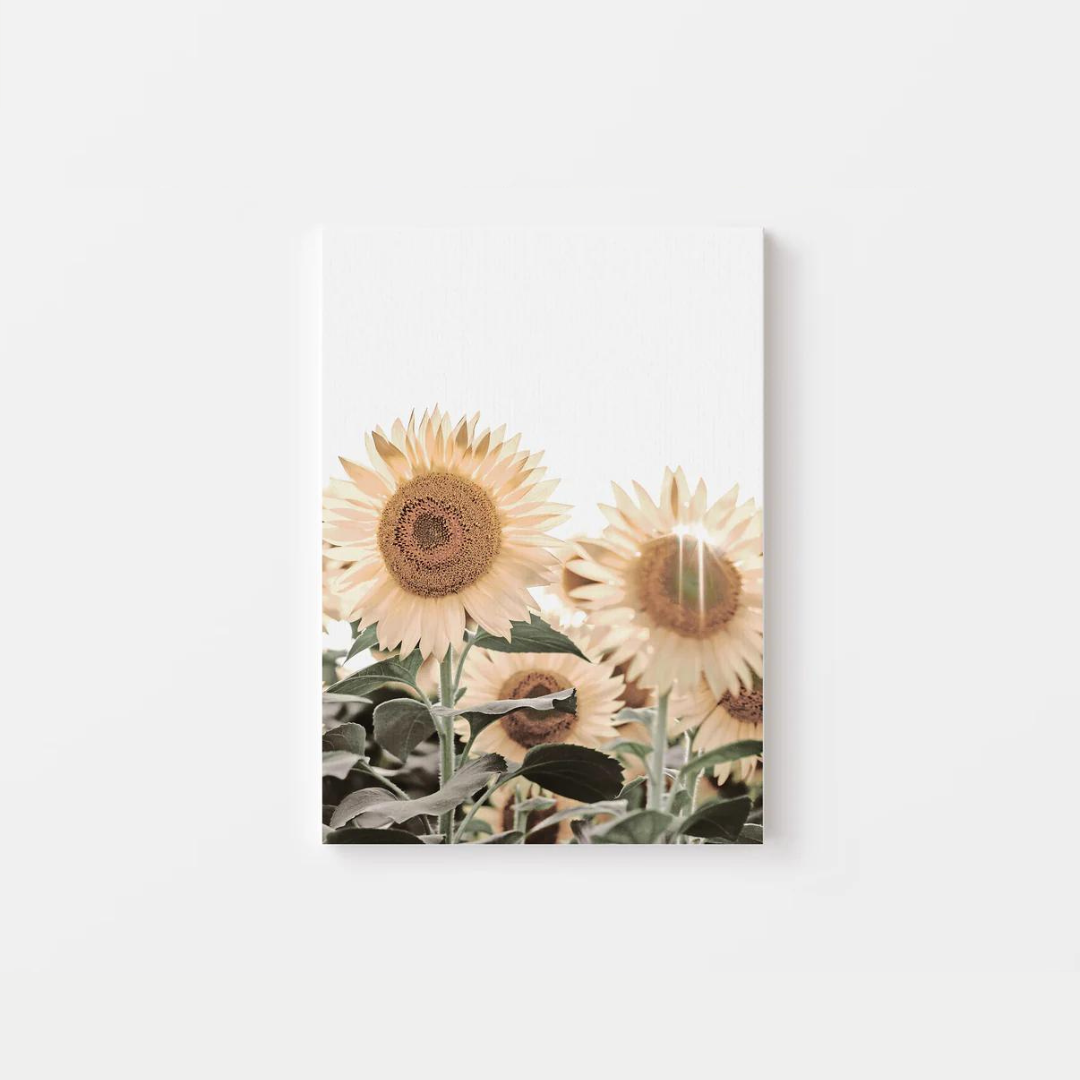 Sun Shine Sunflower Canvas