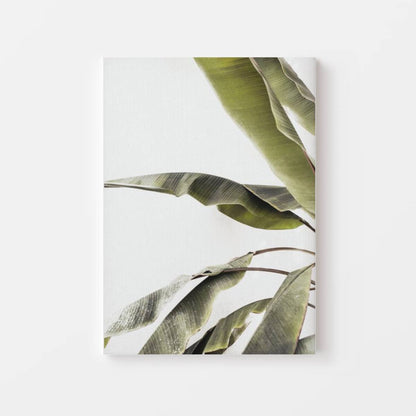 Tropical Leaf Symphony Canvas