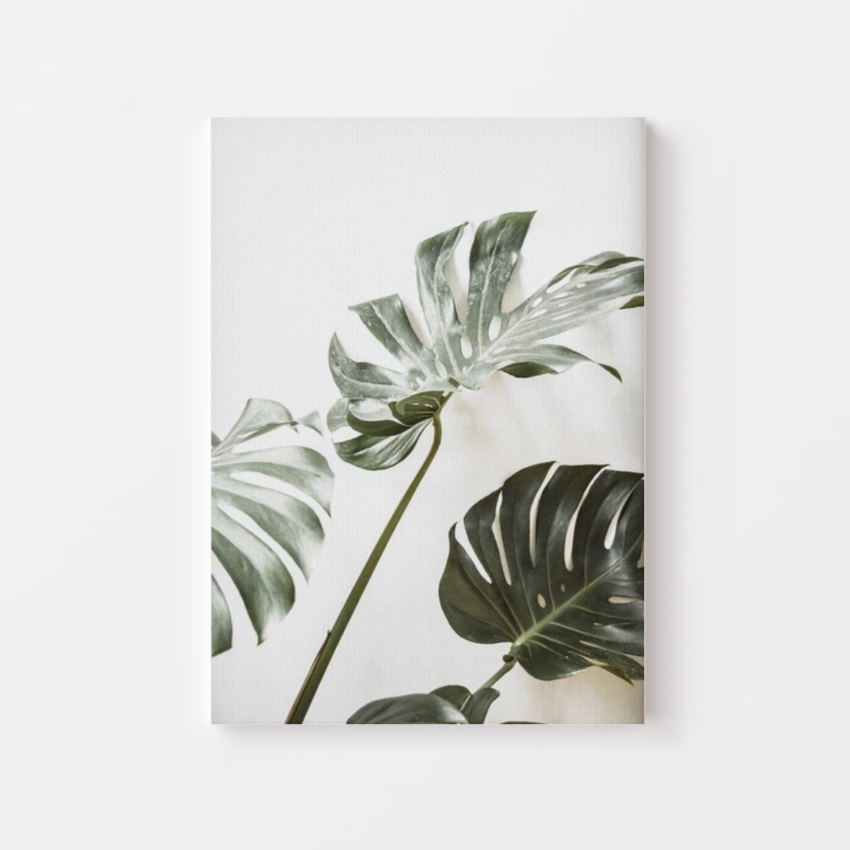 Tropical Leaf Symphony Canvas