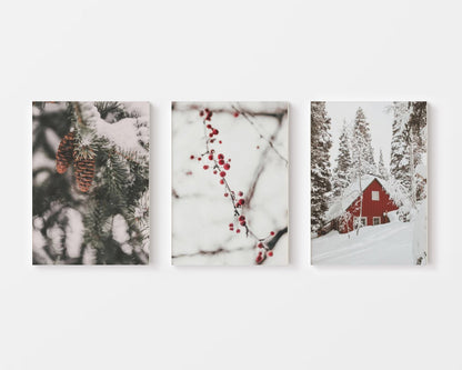Winter Cherry Canvas - Canva Home